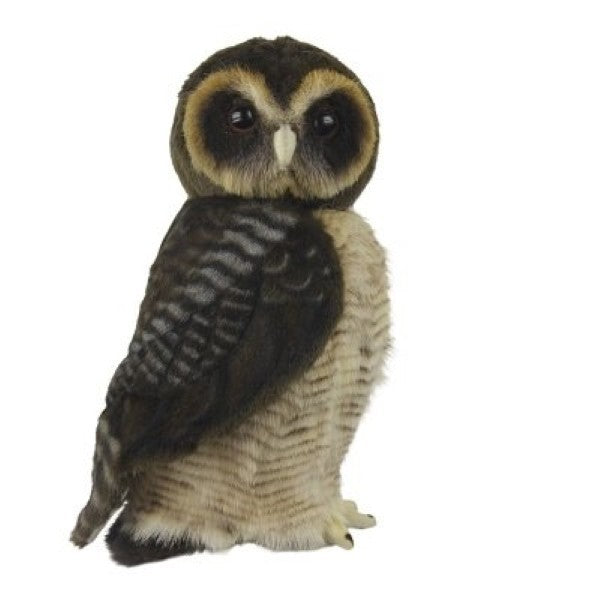 HANSA - Asian Brown Wood Owl - 28cm - Realistic Plush Soft Toy