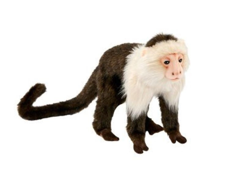HANSA - Capuchin Monkey - 20cm - Realistic Plush Soft Toy